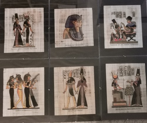 Papyrus bilder ägypten - papyrus,