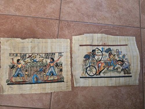 Papyrus aus ägypten - papyrus,
