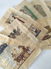 20 Papyrus Bilder
