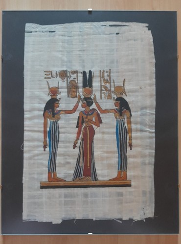 ägyptisches papyrus bild - papyrus,