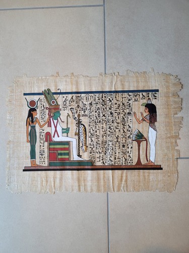 Papyrus bild ägypten - papyrus,